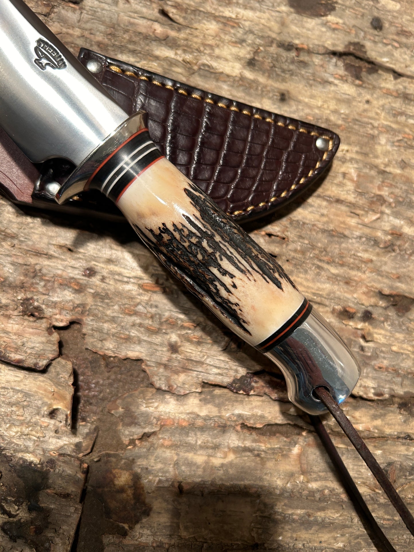 Treeman South Dakota Caper Stag Aluminum AEB-L Stainless Croc Sheath 5 options