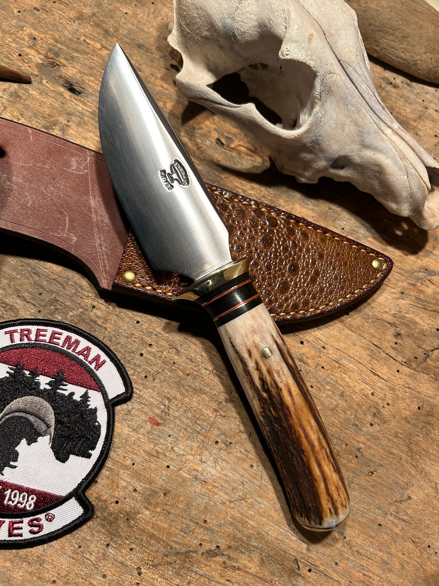 Treeman Alaskan Drop Point AEB-L Stainless Stag Bullfrog Sheath