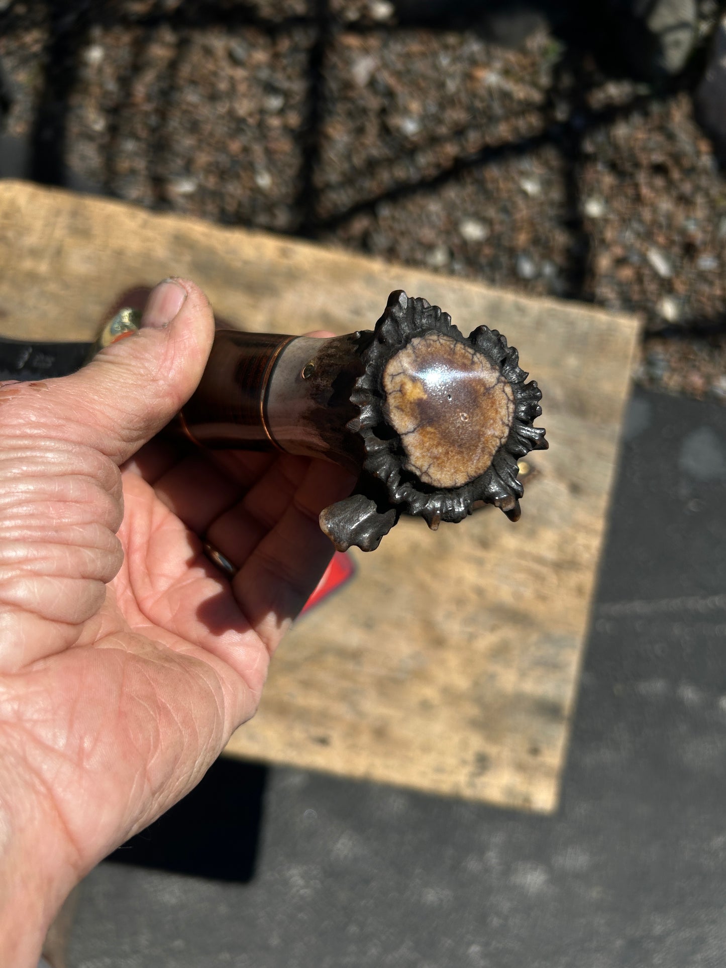 Treeman Hammer Mark Camp Knife Horse Hide Crown Stag  Shark Sheath