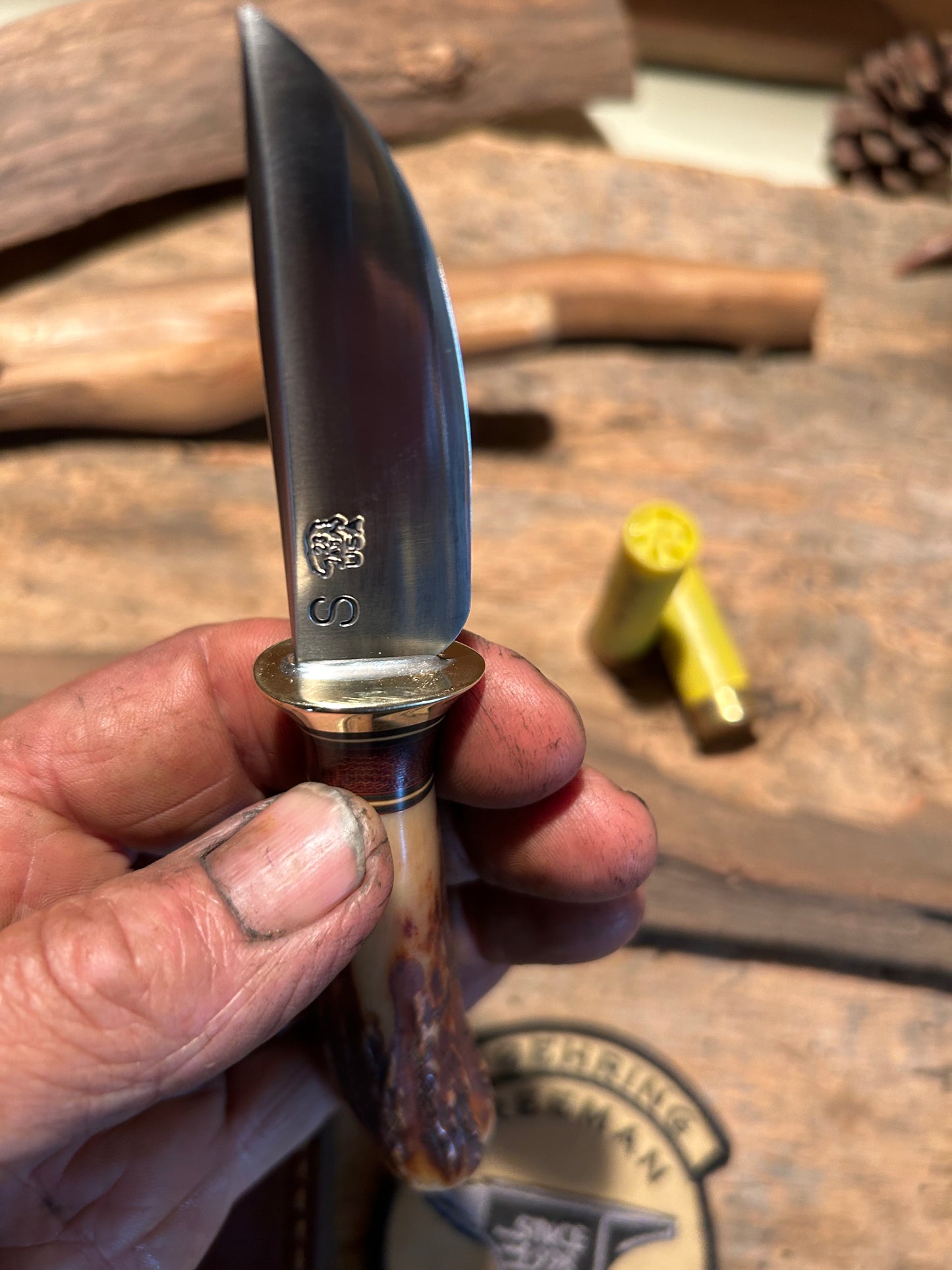 Treeman Pocket Caper 120 years old red stag AEBL Stainless