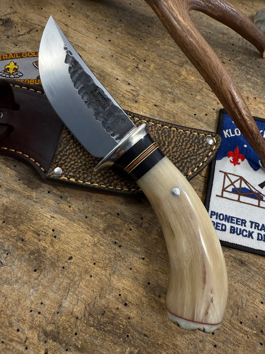 Musk Ox South Dakota Caper Sheep Horn Butt NS.