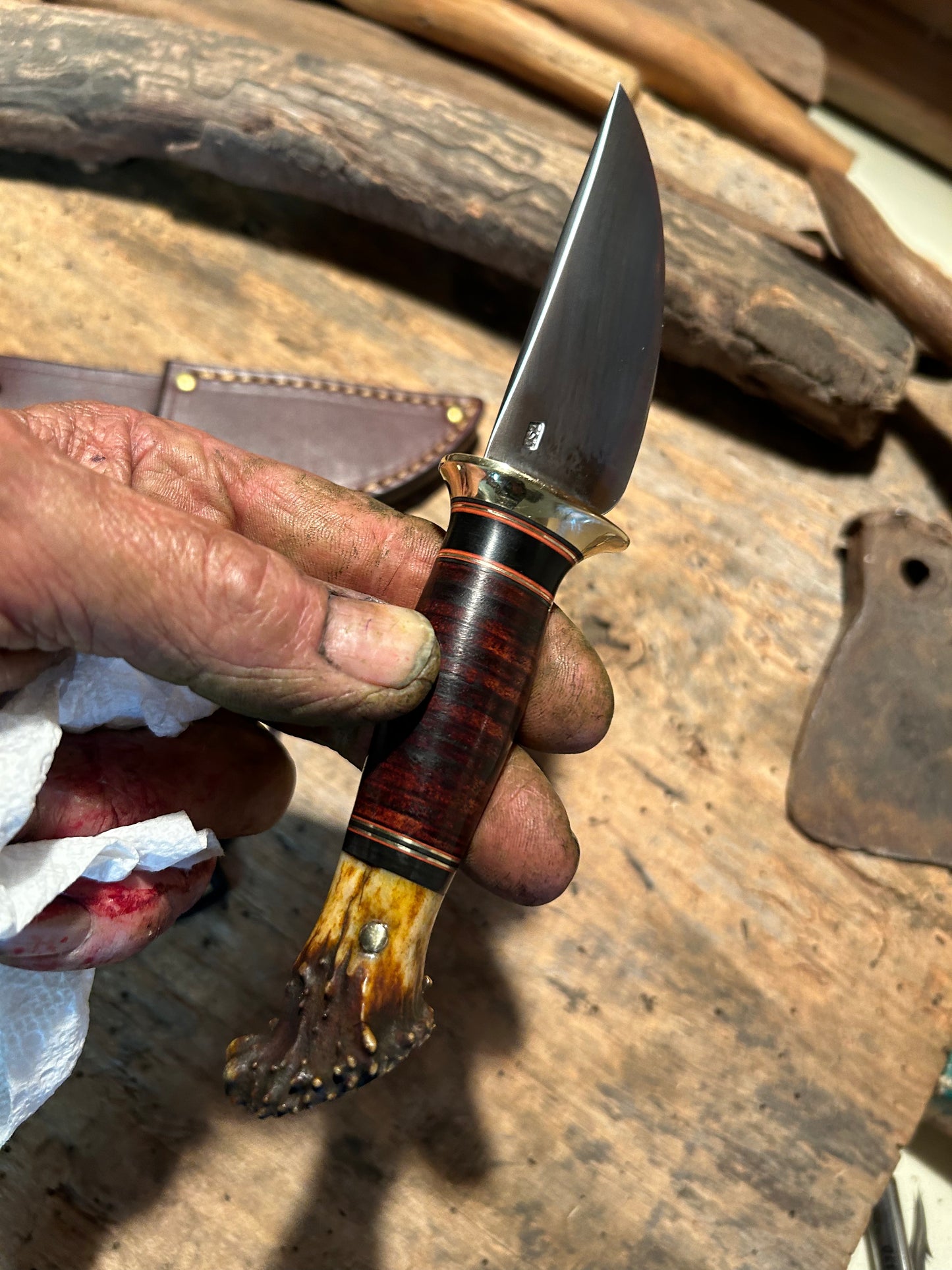 Treeman Caper Brass Horse Hide German Roe Deer crown stag Butt