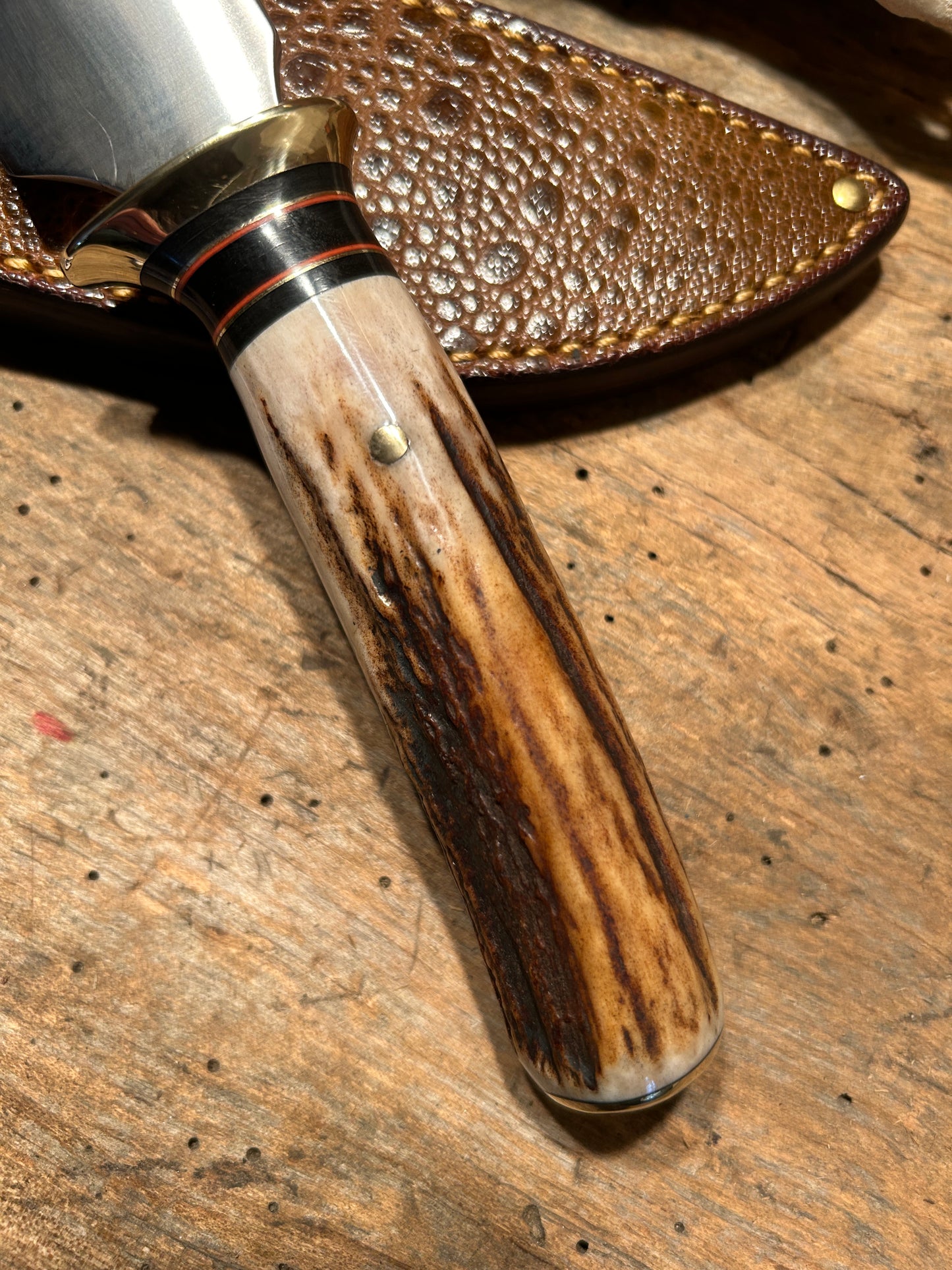 Treeman Alaskan Drop Point AEB-L Stainless Stag Bullfrog Sheath