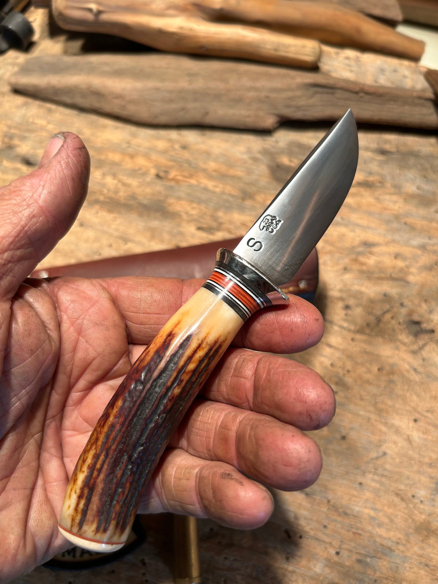 Treeman Pocket caper AEB-L Stainless 120 Year old red stag Ivory butt Cap