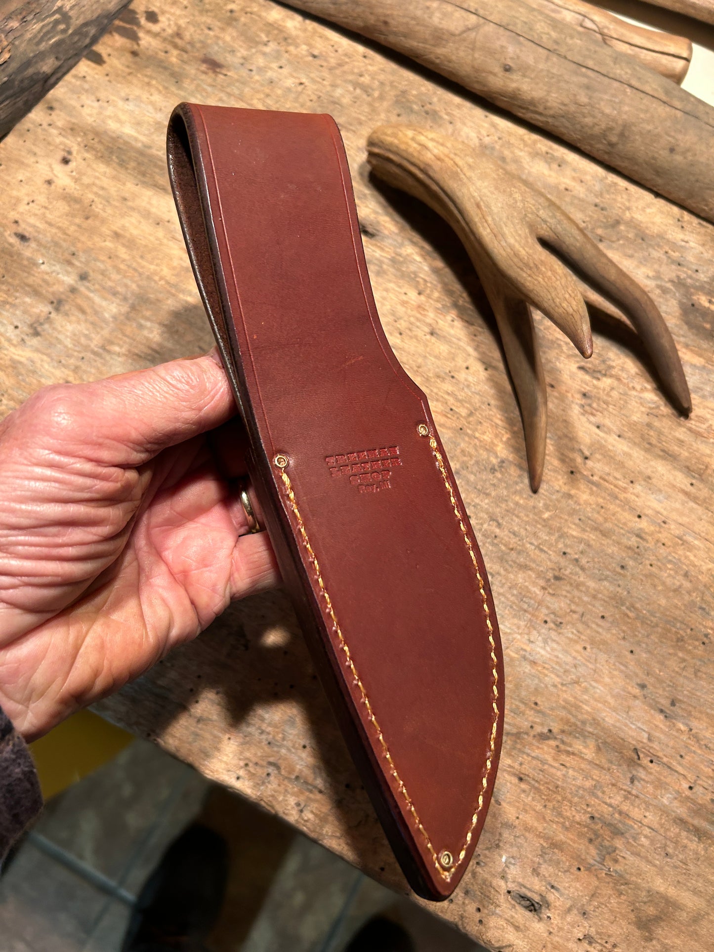 Treeman Alaskan Drop Point AEB-L Stainless Stag Bullfrog Sheath