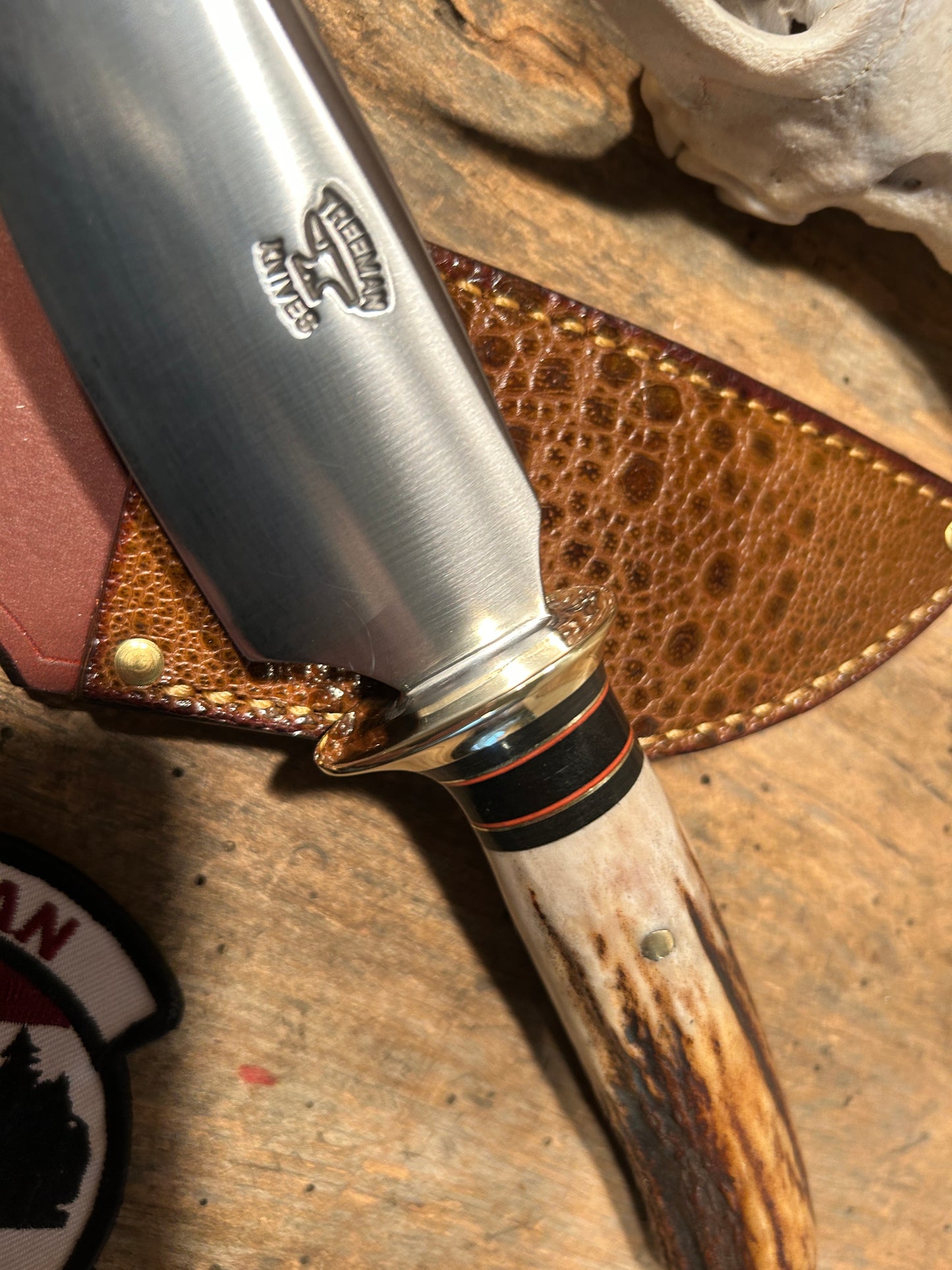 Treeman Alaskan Drop Point AEB-L Stainless Stag Bullfrog Sheath