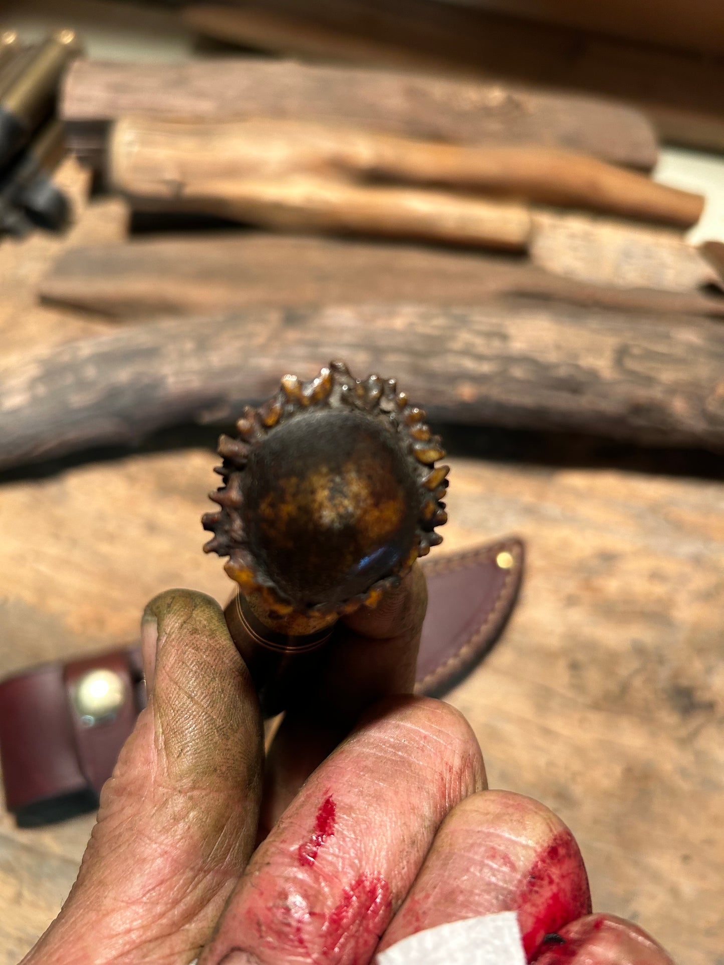 Treeman Caper Brass Horse Hide German Roe Deer crown stag Butt