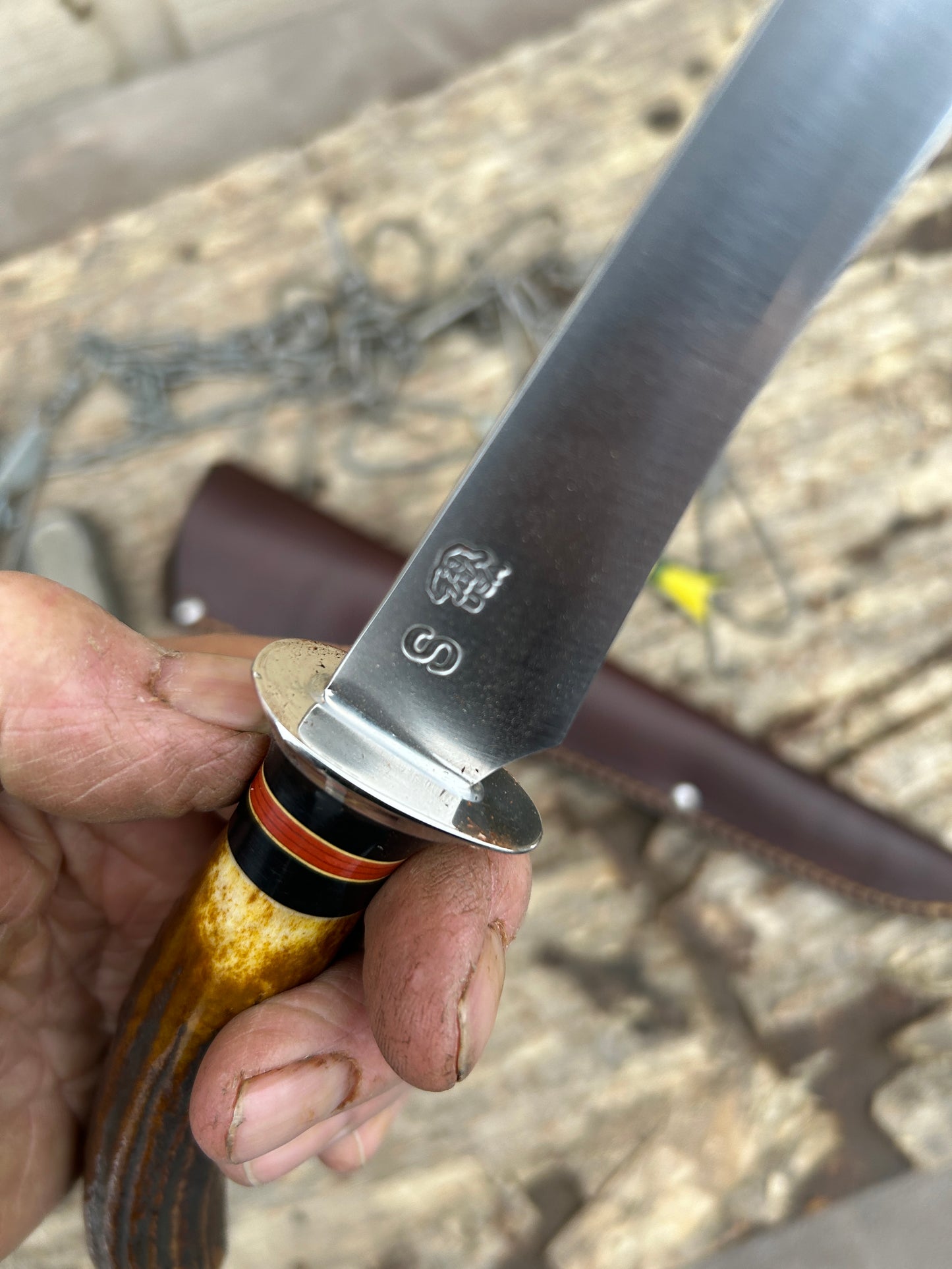 Treeman 7" Filet knife stag AEB-L Ox Butt cap