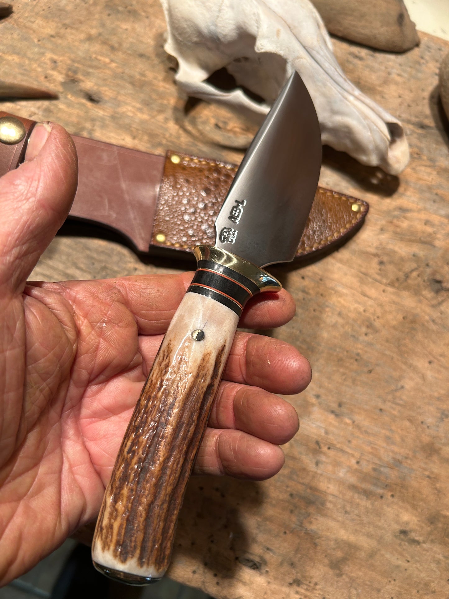 Treeman Alaskan Drop Point AEB-L Stainless Stag Bullfrog Sheath