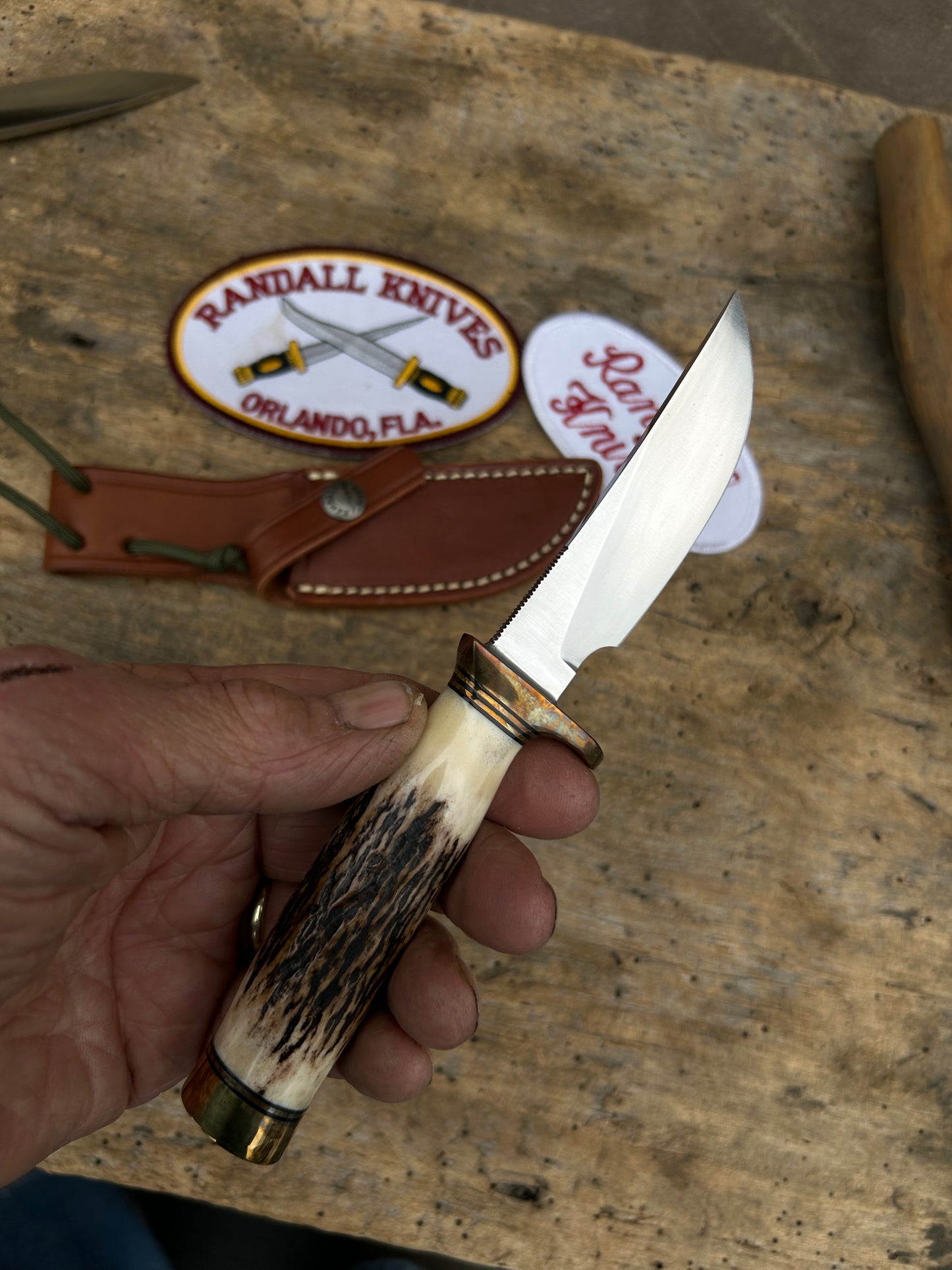 Randall Model 21 Little game 3 1/4" Carbon Blade Flat Top Brass guard Sambar Stag Brass Butt older knife Mint