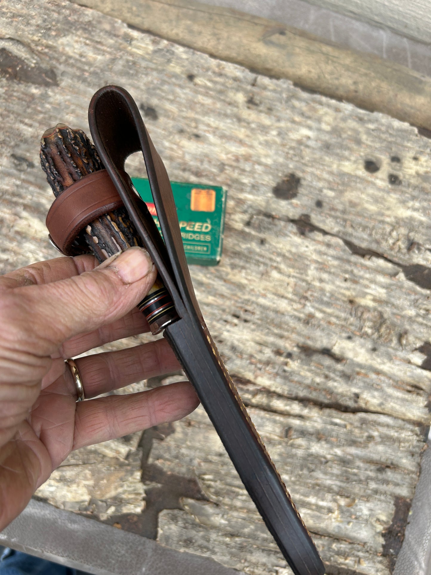 Treeman Small Special Hunter Exibition AAA Stag