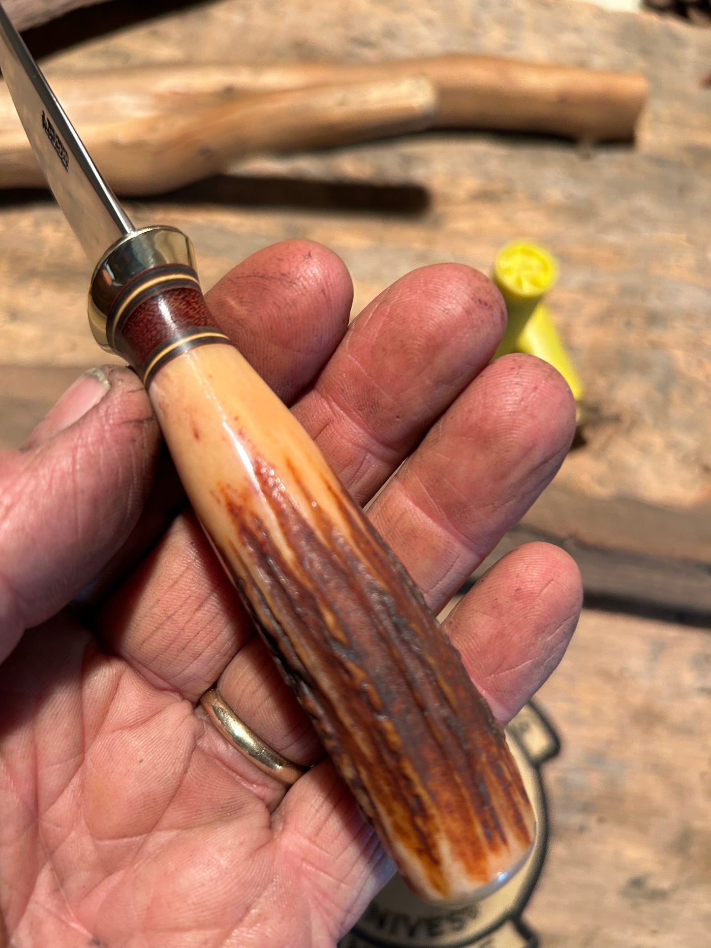 Treeman Pocket Caper 120 years old red stag AEBL Stainless