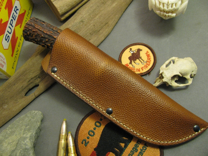 Exhibition Stag Sticker