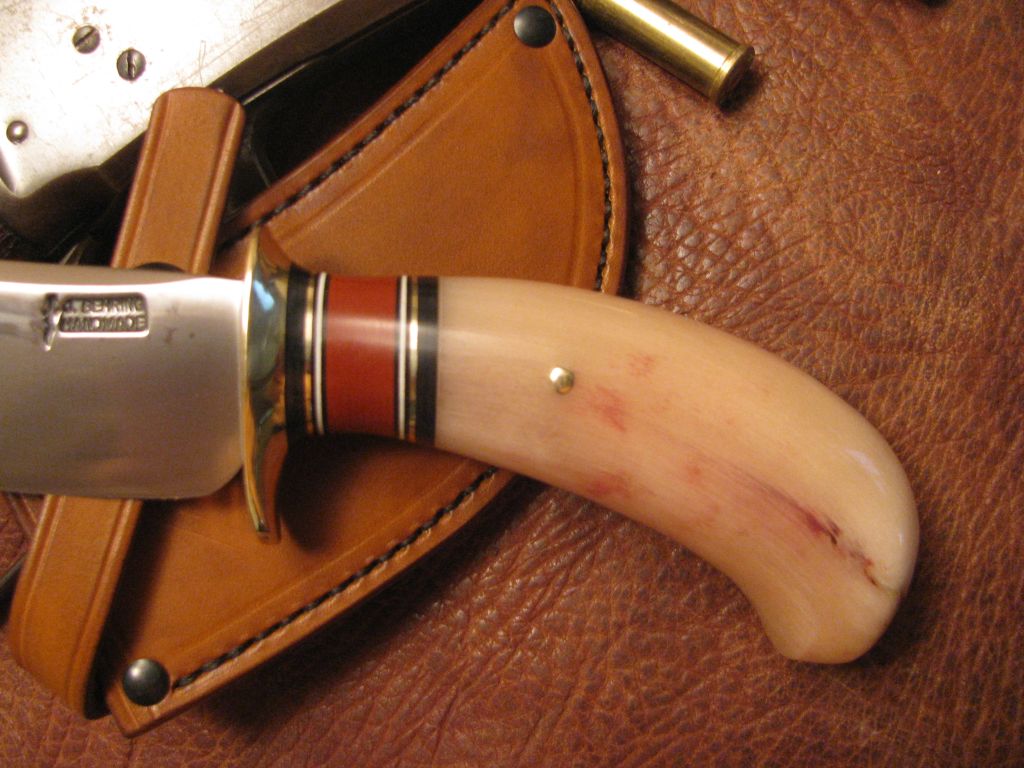 A Westerner birds head musk Ox Cowboy Hunter