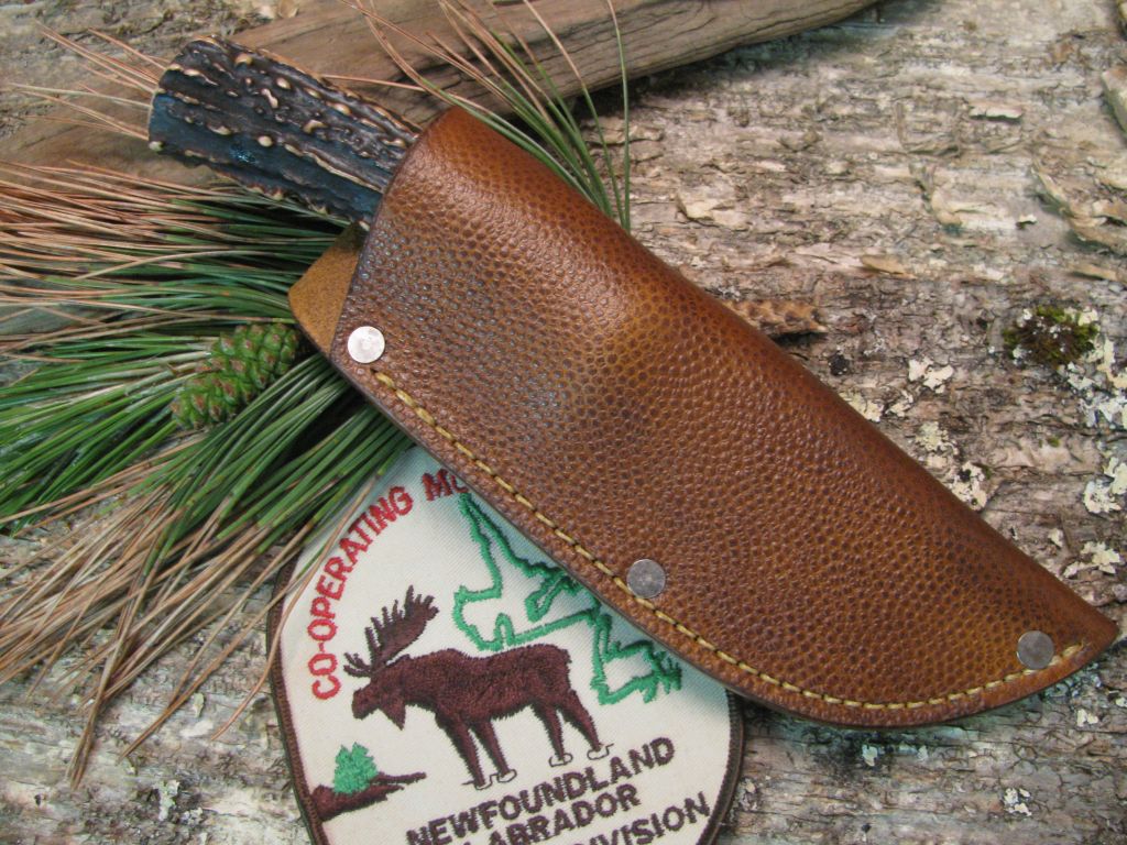 Trout & Deer  Reverse stamps