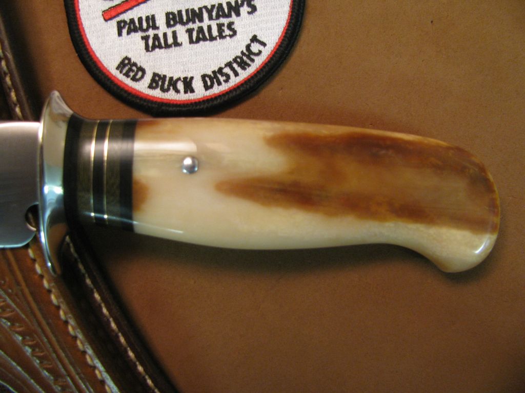 BIG BAY Skinner fossil Walrus