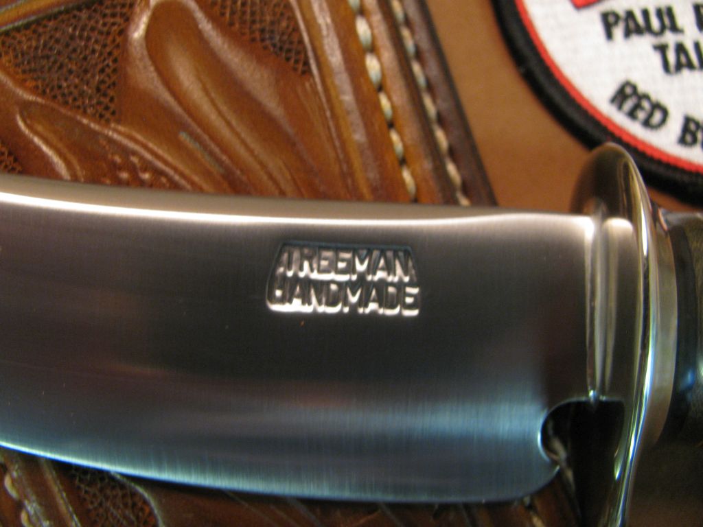 BIG BAY Skinner fossil Walrus