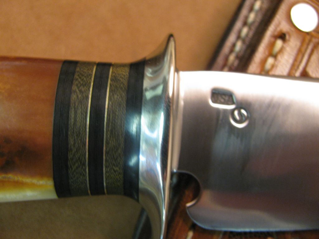 BIG BAY Skinner fossil Walrus