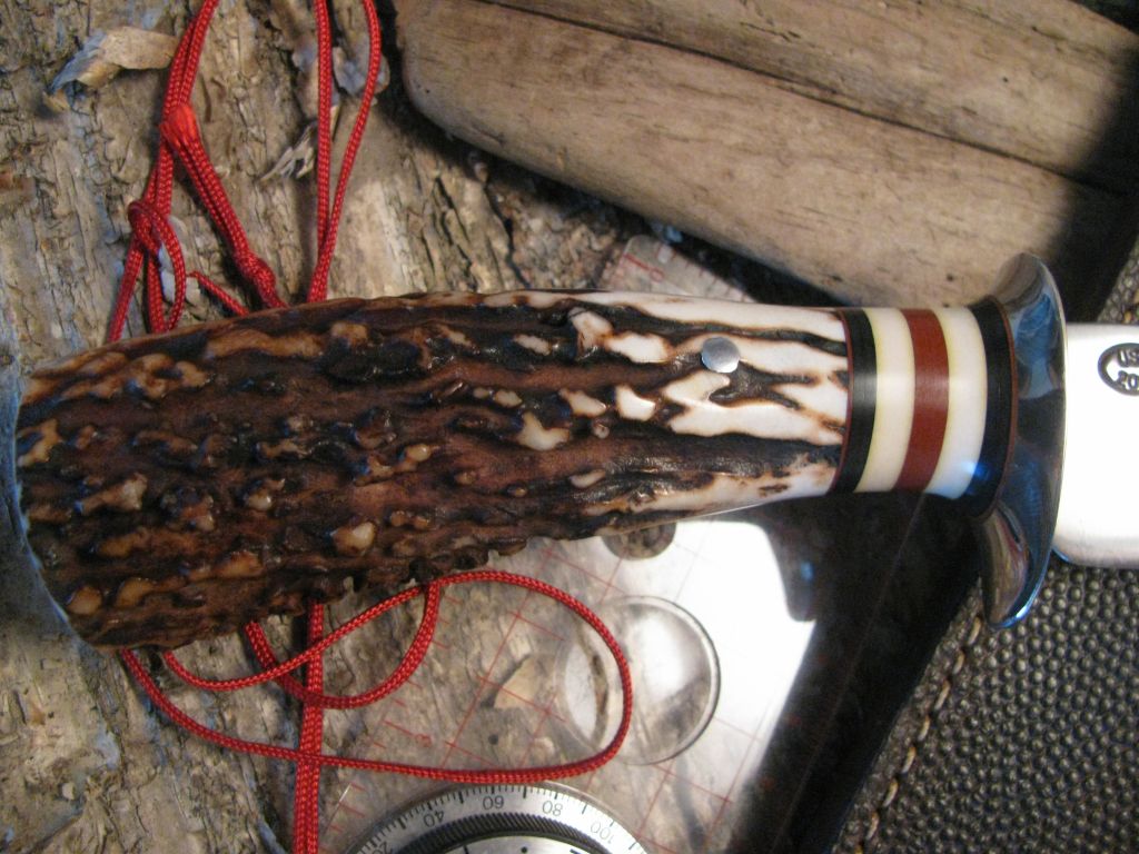 Semi Skinner EXHIBITION STAG!!