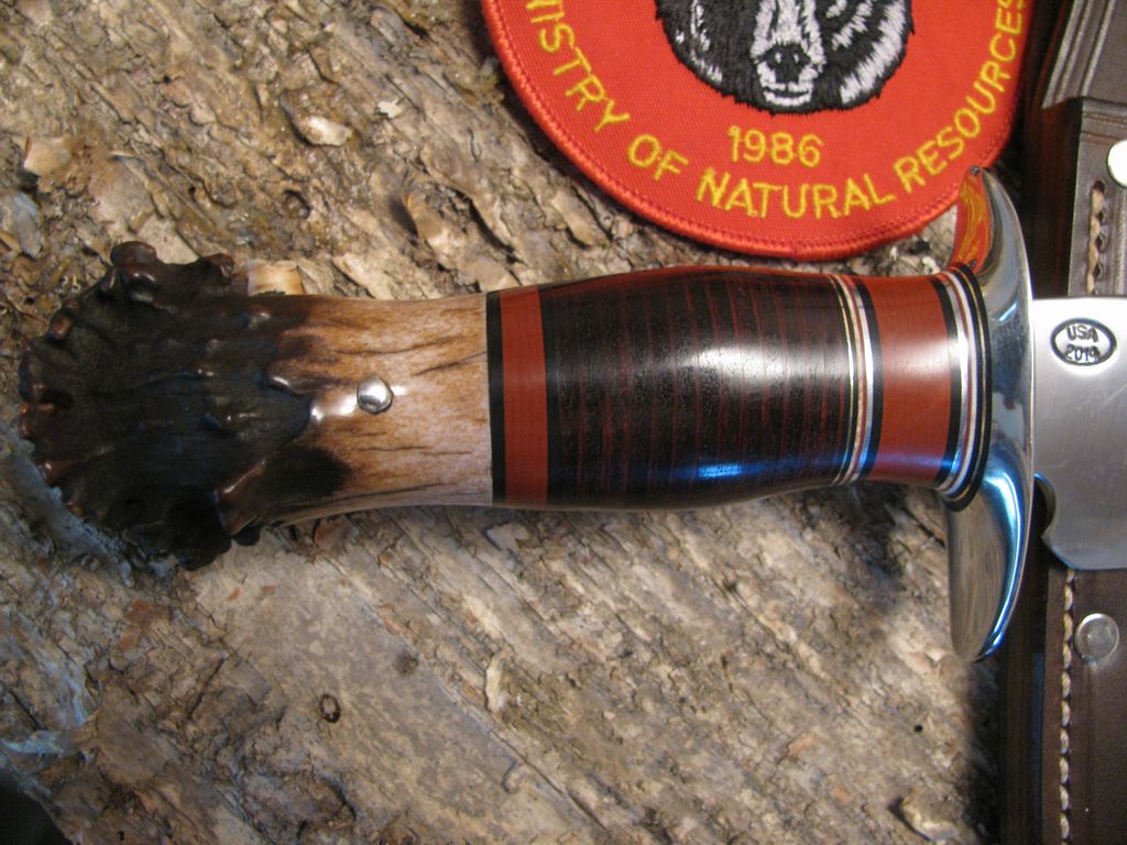 Treeman 8" Classic Scagel Style  Camp Knife leather Crown Stag!