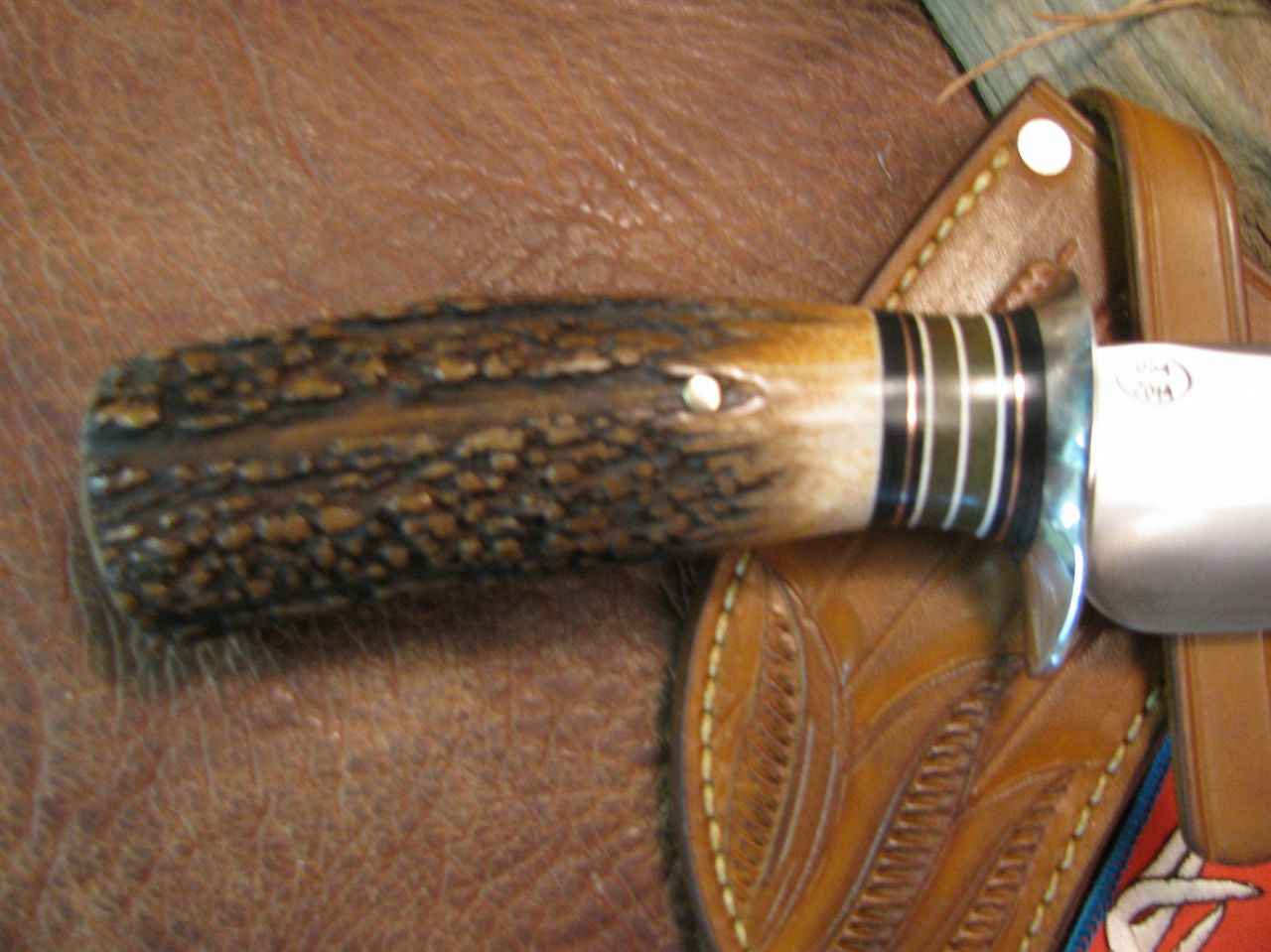 Treeman Hunter EXHIBITION GRADE STAG!