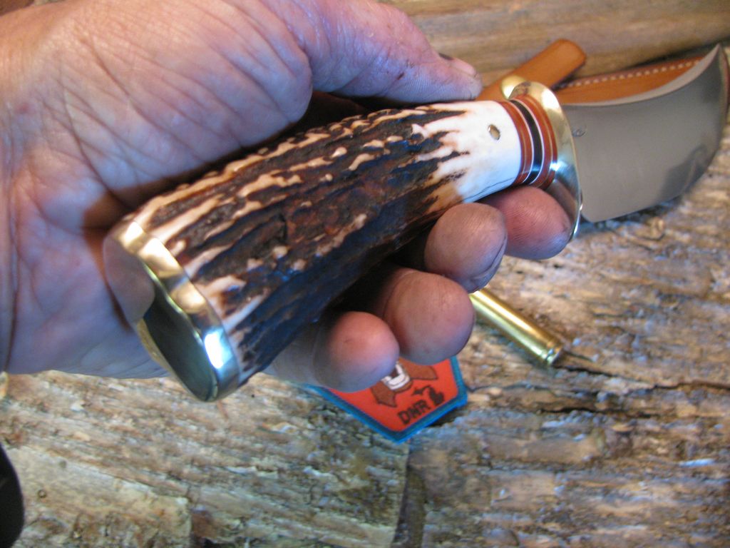 Exhibition Grade Sambar Stag  Skinner