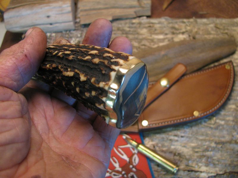 Exhibition Grade Sambar Stag  Skinner