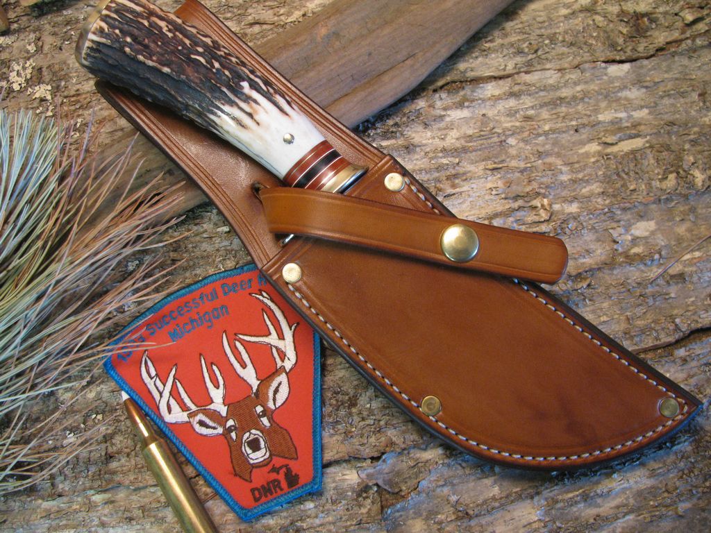 Exhibition Grade Sambar Stag  Skinner