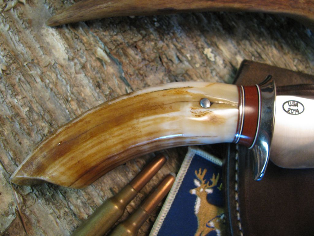 Hippo Ivory Tooth South Dakota Caper