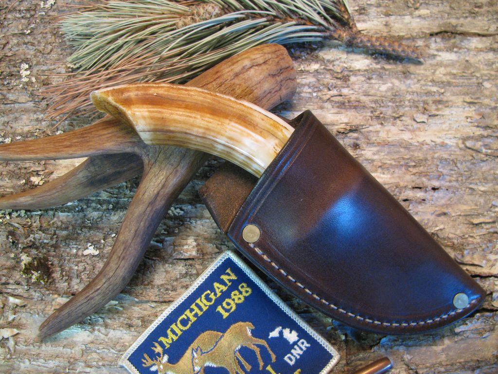 Hippo Ivory Tooth South Dakota Caper