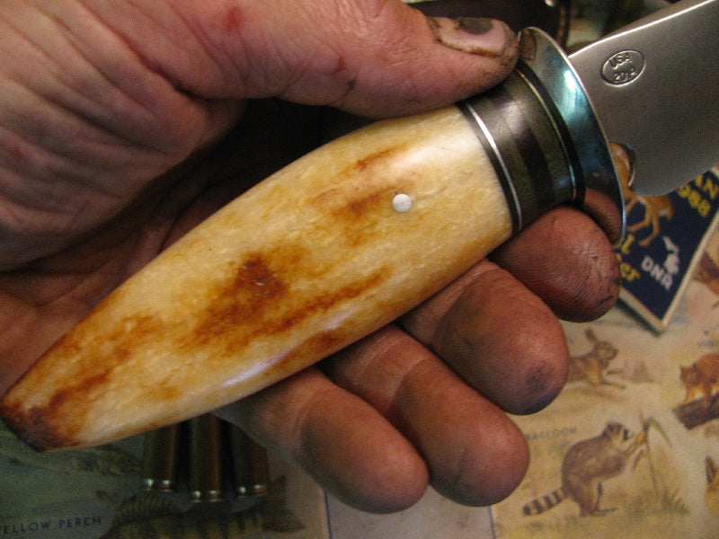 Walrus Artifact Ivory South Dakota Heavy Duty Caper.