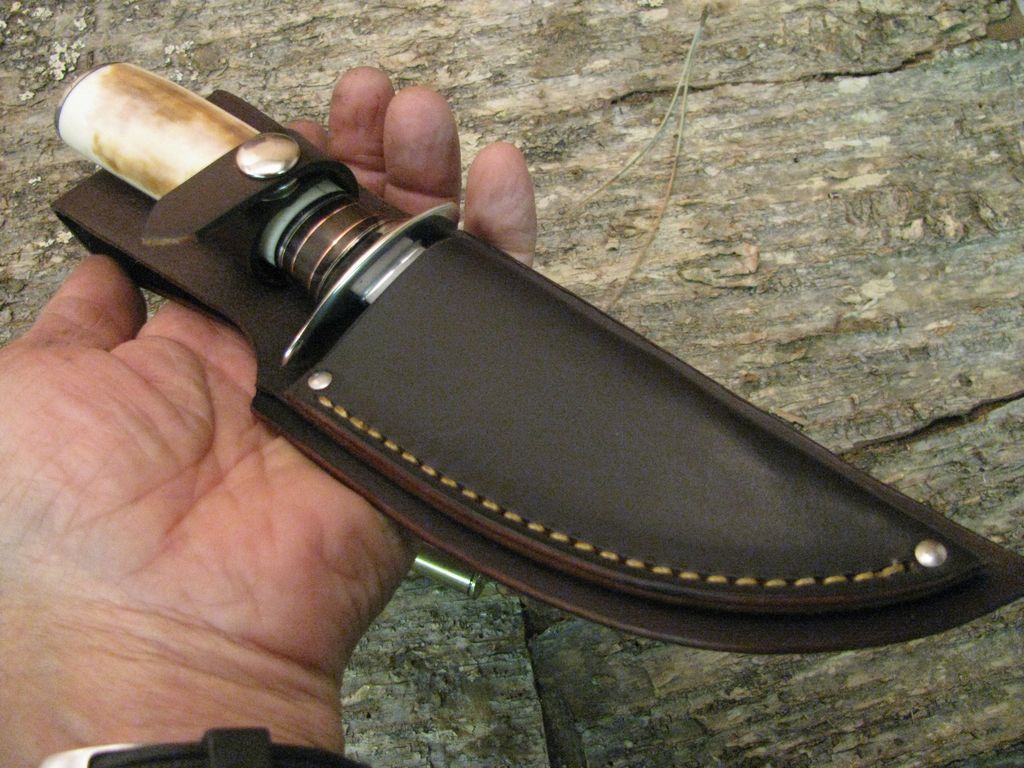 Ivory 5" Sticker double Nickel Silver Guard!