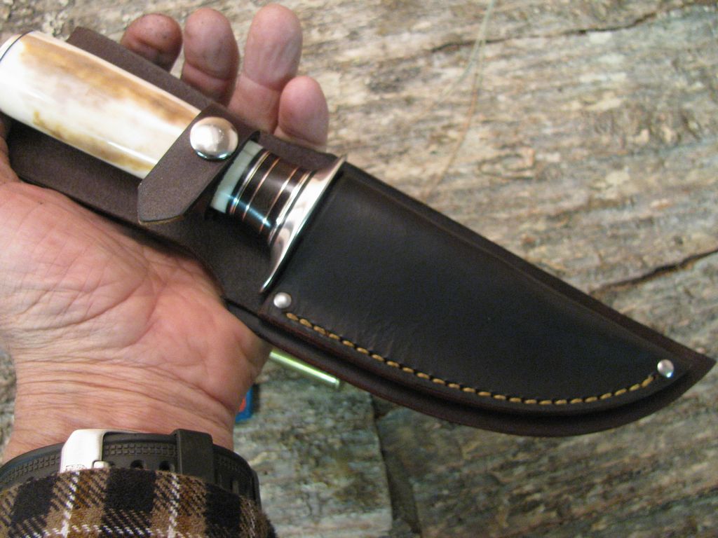 Ivory 5" Sticker double Nickel Silver Guard!