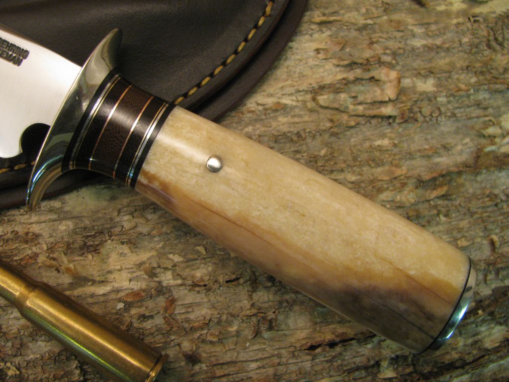 Ivory 5" Sticker double Nickel Silver Guard!