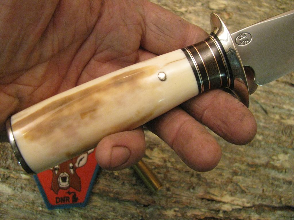 Ivory 5" Sticker double Nickel Silver Guard!