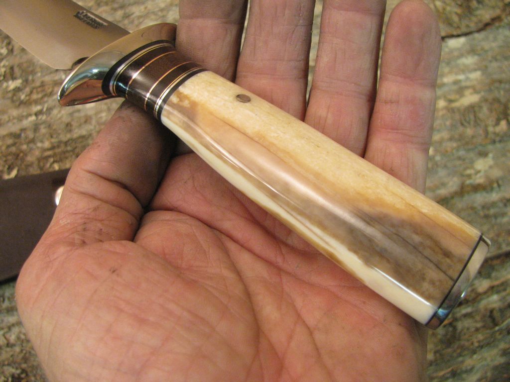 Ivory 5" Sticker double Nickel Silver Guard!