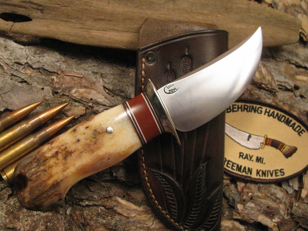 Walrus Fossil Ivory Caper