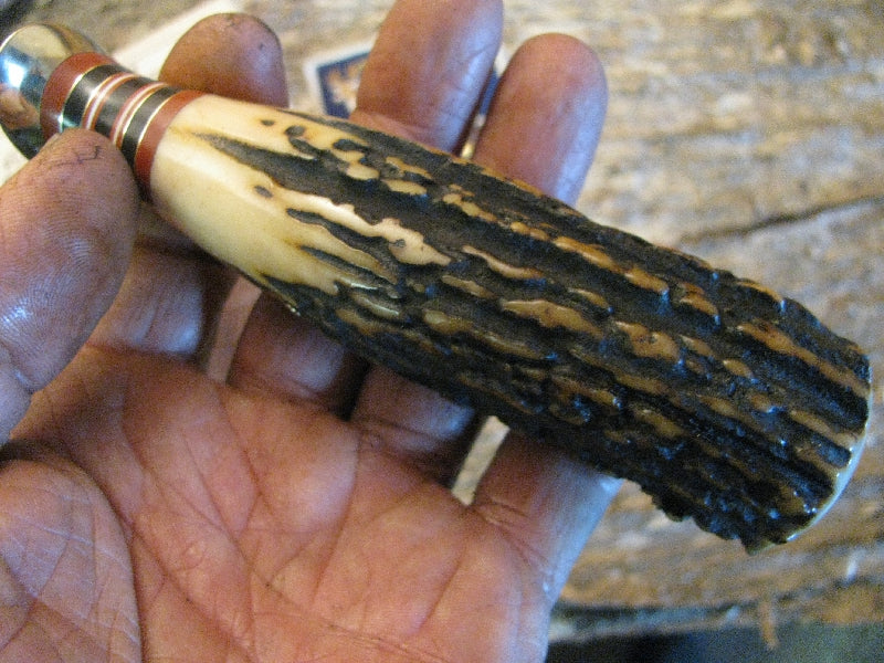 Treeman Big Bay Hunter Exhibition Grade Sambar Stag