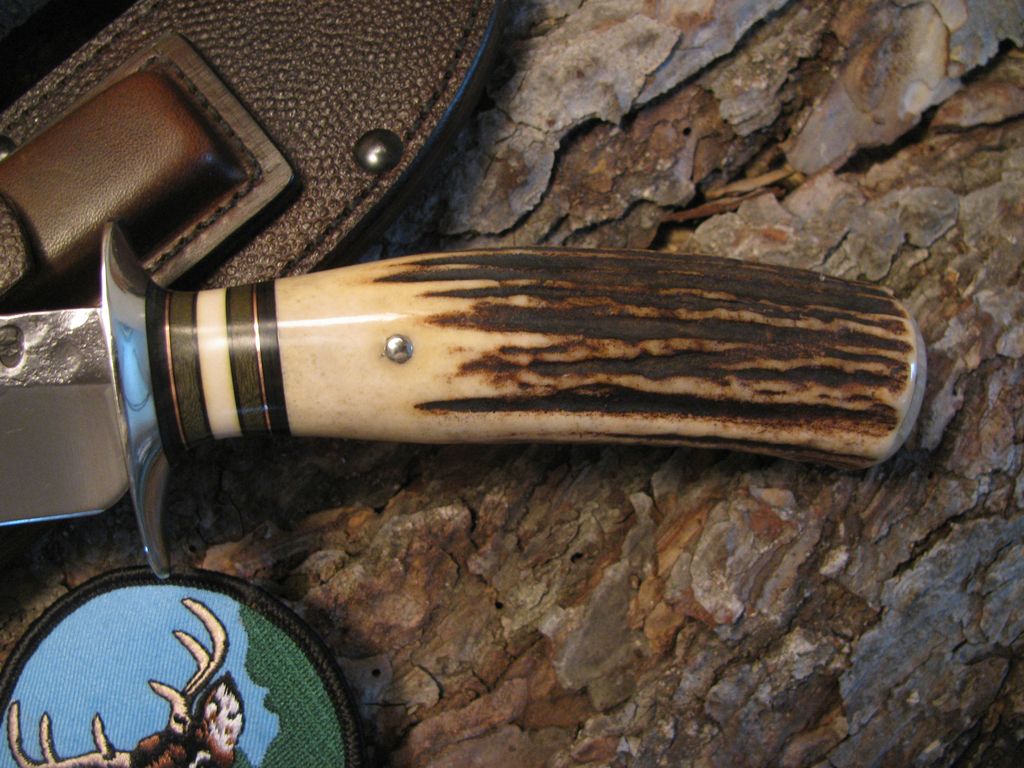 *Treeman Double Skull Fighter 7" Blade Stag Musk Ox