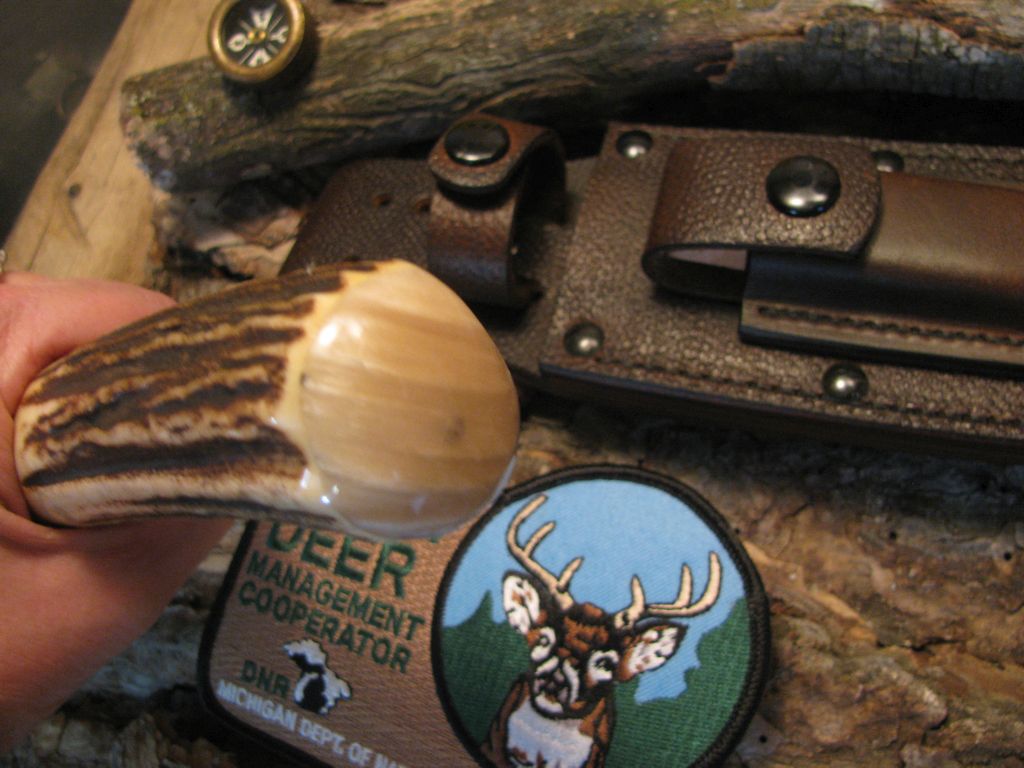 *Treeman Double Skull Fighter 7" Blade Stag Musk Ox