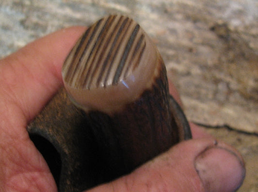 *J. Behring Treeman Trout & Deer  Red Stag Musk Ox Butt