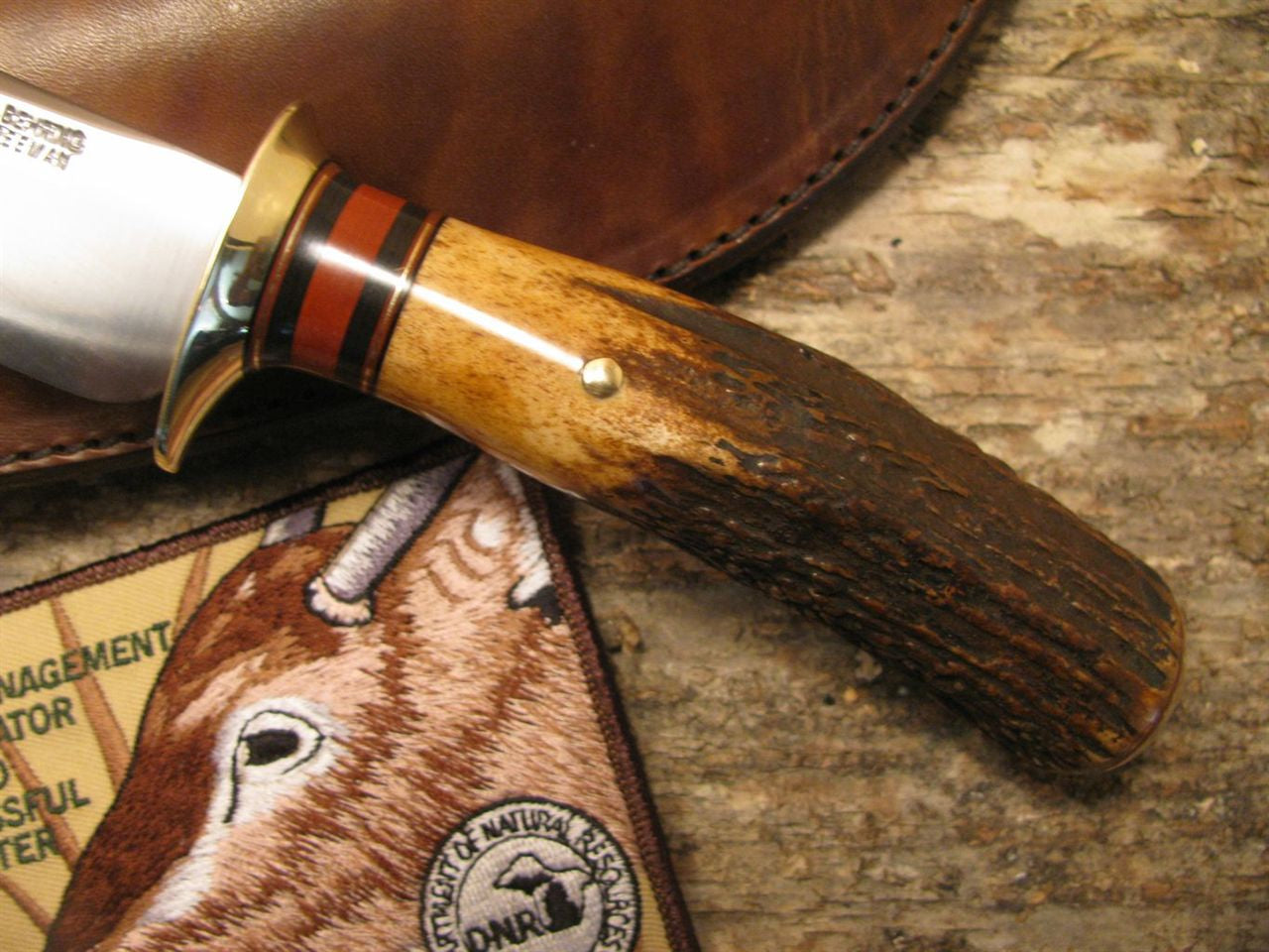 *Treeman Heavy duty  5" Hunter Sambar Stag