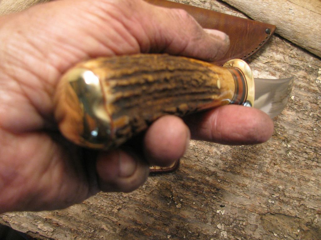 *Treeman Heavy duty  5" Hunter Sambar Stag