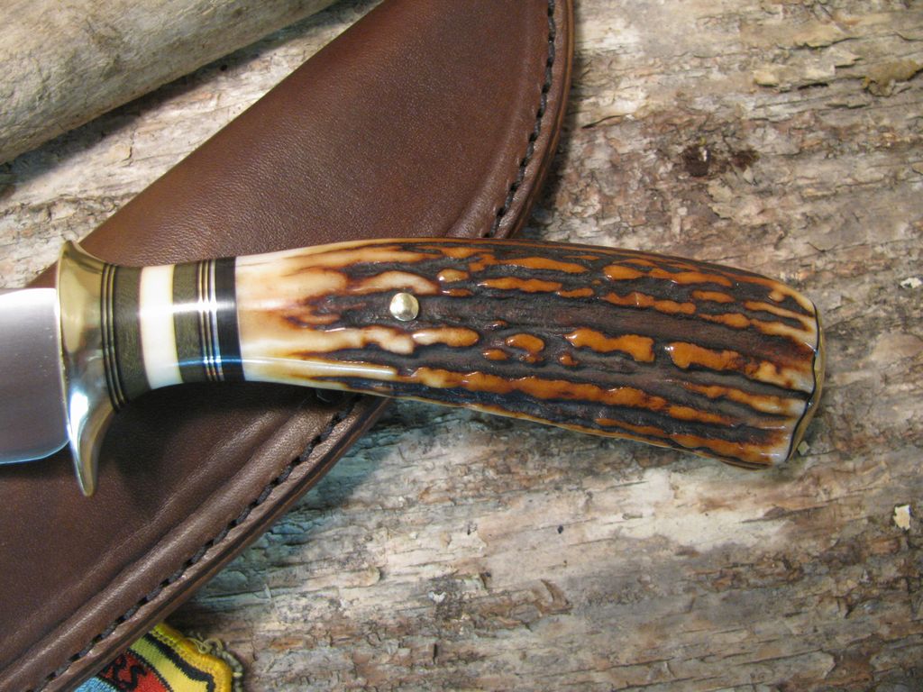 *BEAUTIFUL T&D Exhibition Gr. STAG! WOW!!!