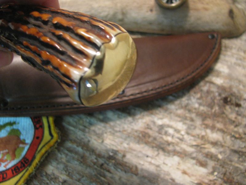 *BEAUTIFUL T&D Exhibition Gr. STAG! WOW!!!