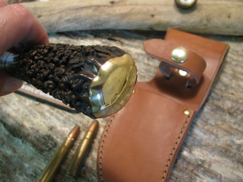 Treeman "BIG STUBBY" Hammermark Exhibition Grade Stag!!