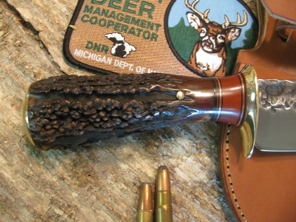 Treeman "BIG STUBBY" Hammermark Exhibition Grade Stag!!