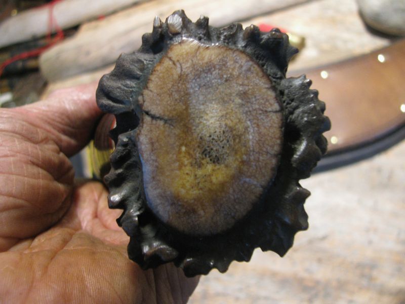 *Treeman Handmade BIG CAMP Knife Crown Stag 9" Blade