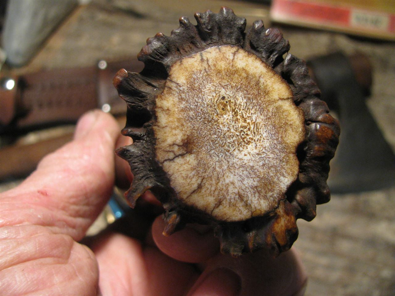 J. Behring Handmade Treeman Crown Stag Hunter