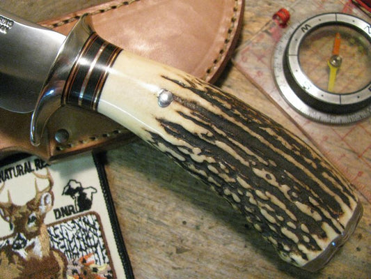 J. Behring  Fatty skinner MuskOx Exhibition stag!